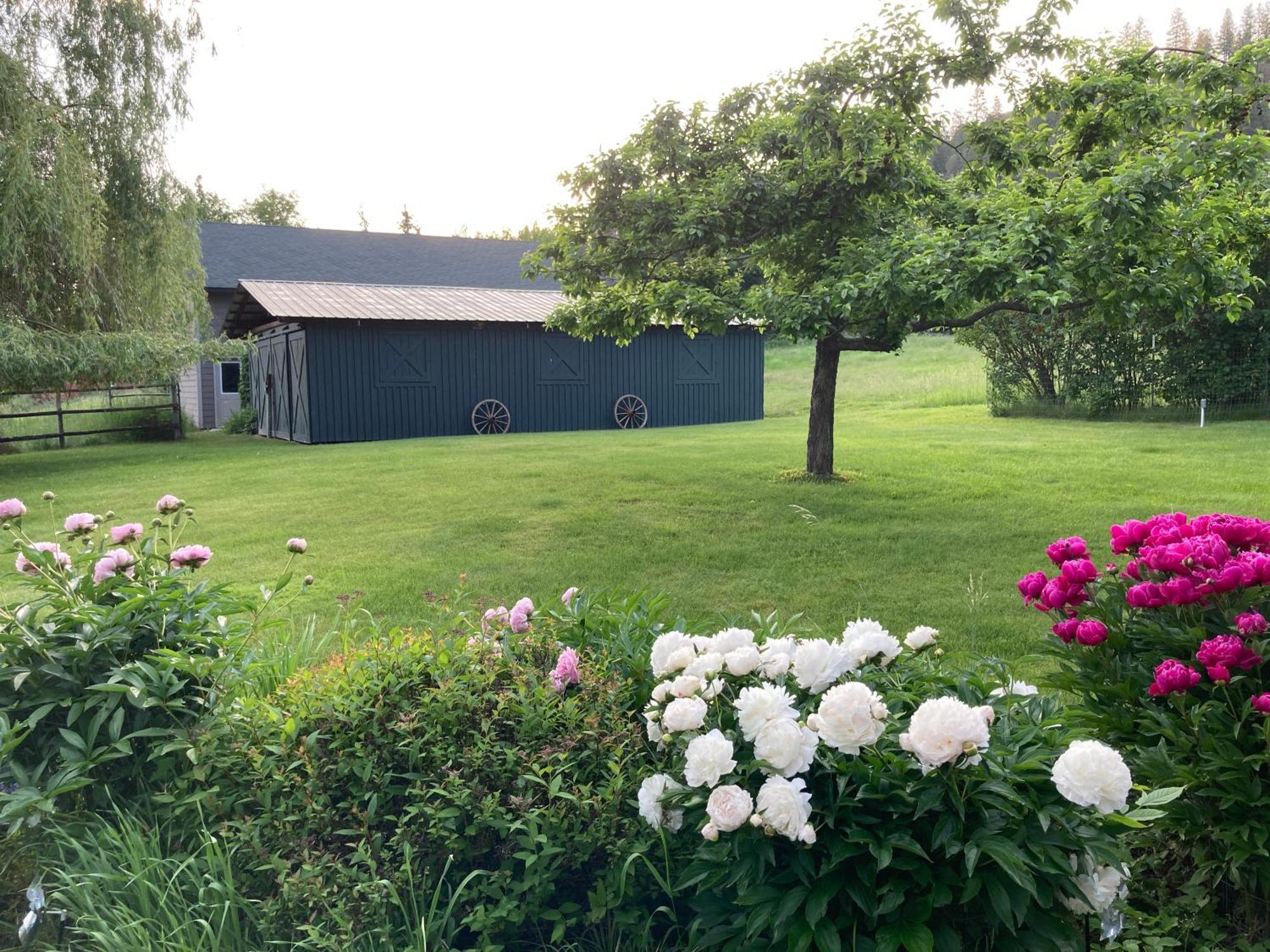 Hideaway Ranch Guest House Bonners Ferry Luaran gambar